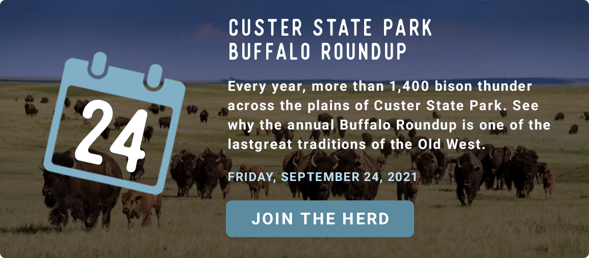 Custer State Park Buffalo Roundup - Every year, 1,400 bison thunder across the plains of Custer State Park. See why the annual Buffalo Roundup is one of the last great traditions of the Old West. - FRIDAY, SEPTEMBER 24, 2021. JOIN THE HERD