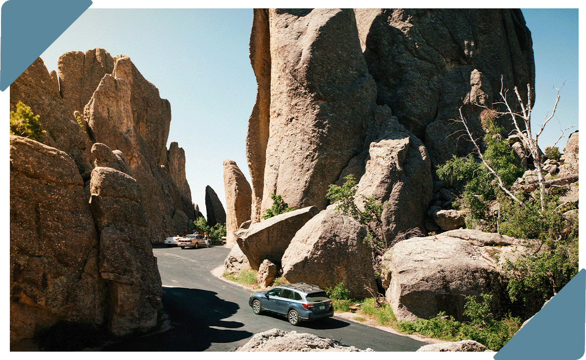 A car driving through the Peter Norbeck National Scenic Byway