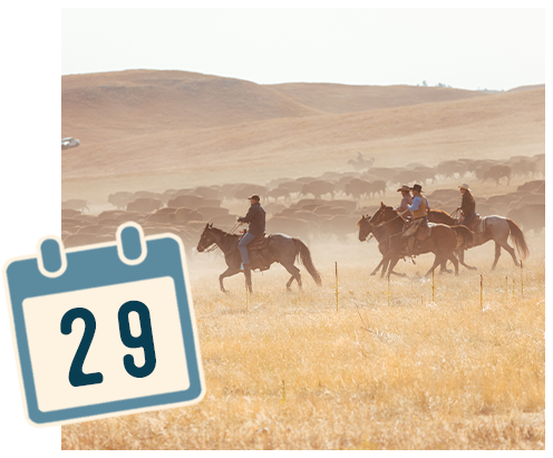 A photo of men riding horse at Custer State Park.