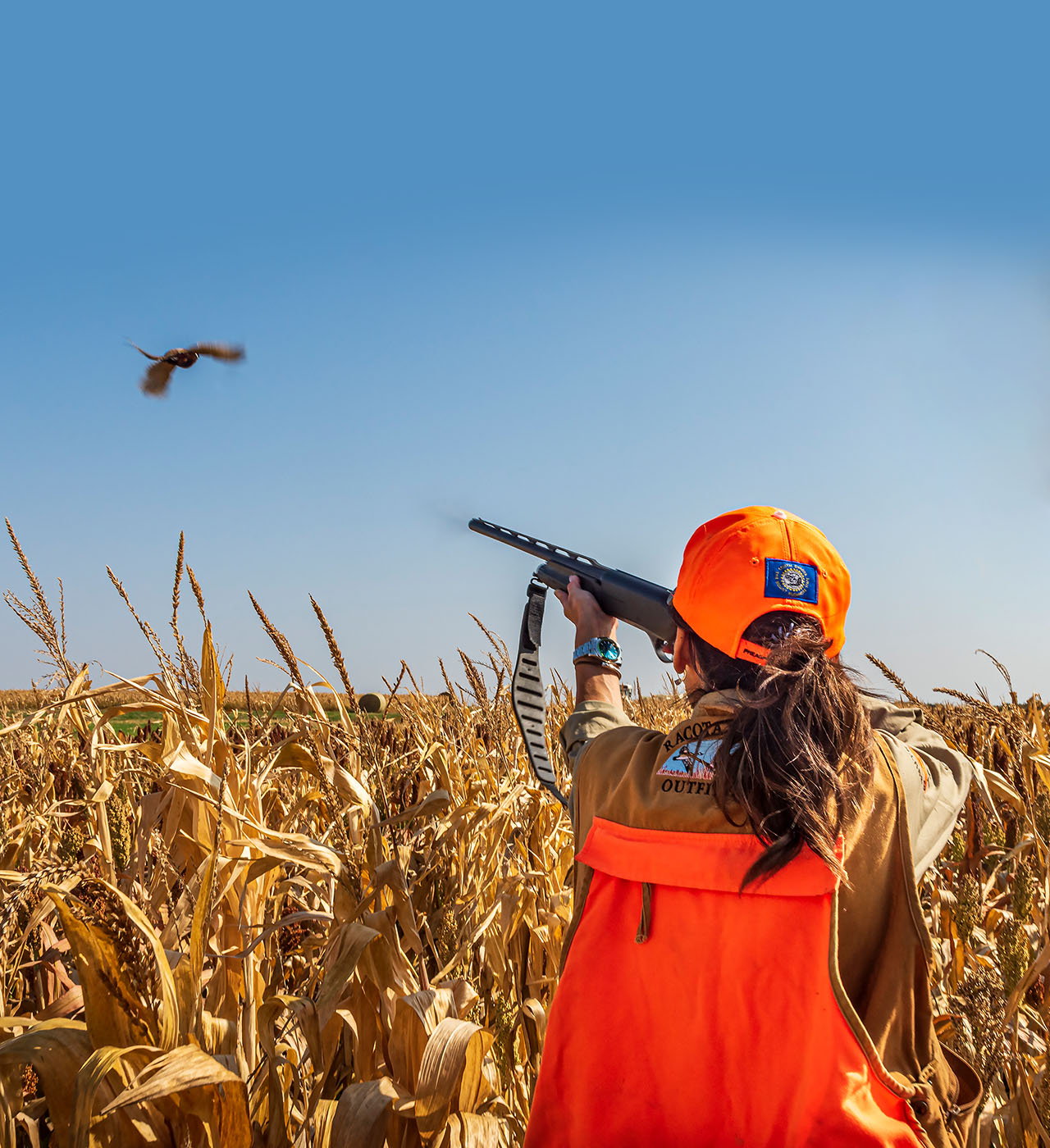 A woman aims a shotgun at a pheasant flying out of a cornfield.