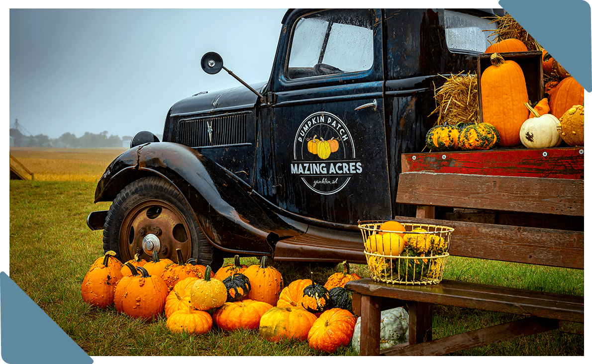 An antique pickup truck filled with pumpkins and gourds.