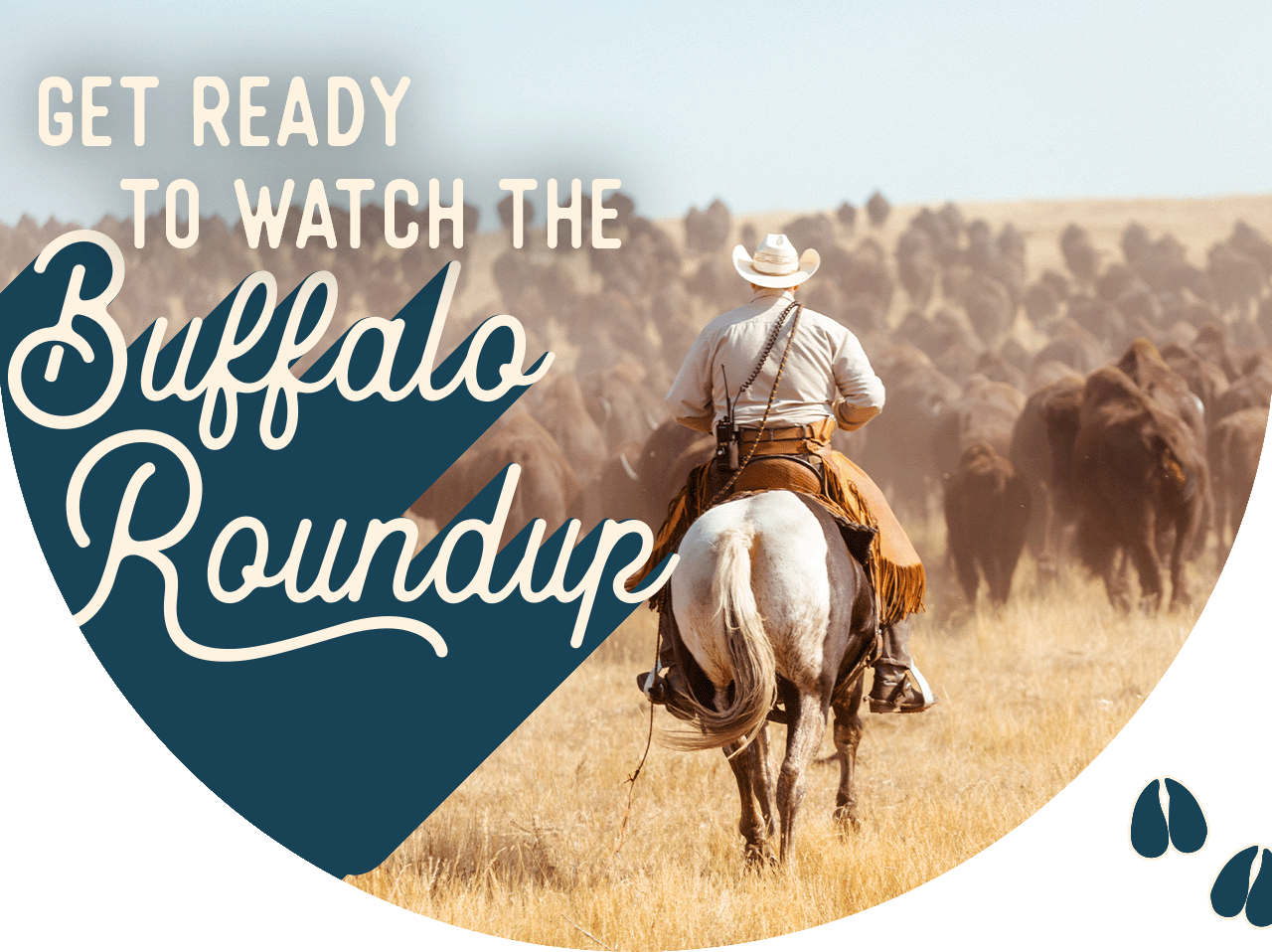 A cowboy on the Buffalo Roundup. A headline reads: Get Ready to Watch the Buffalo Roundup