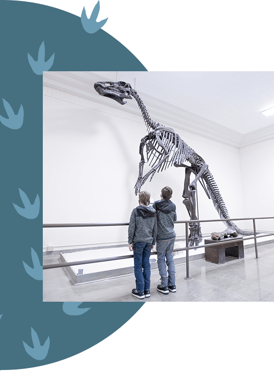 Two boys viewing a large dinosaur skeleton.