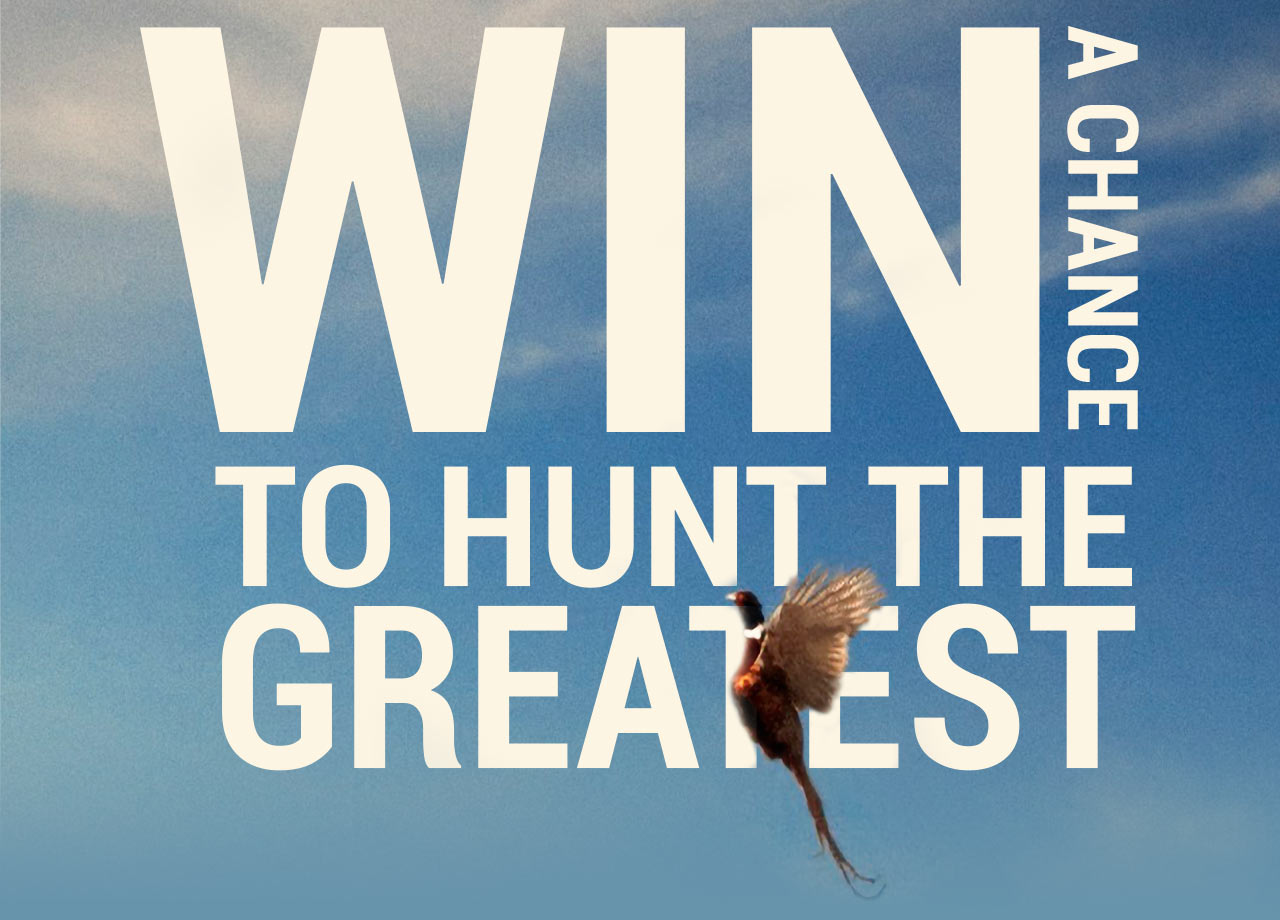 A pheasant flies over a headline which reads: Win a Chance to Hunt the Greatest