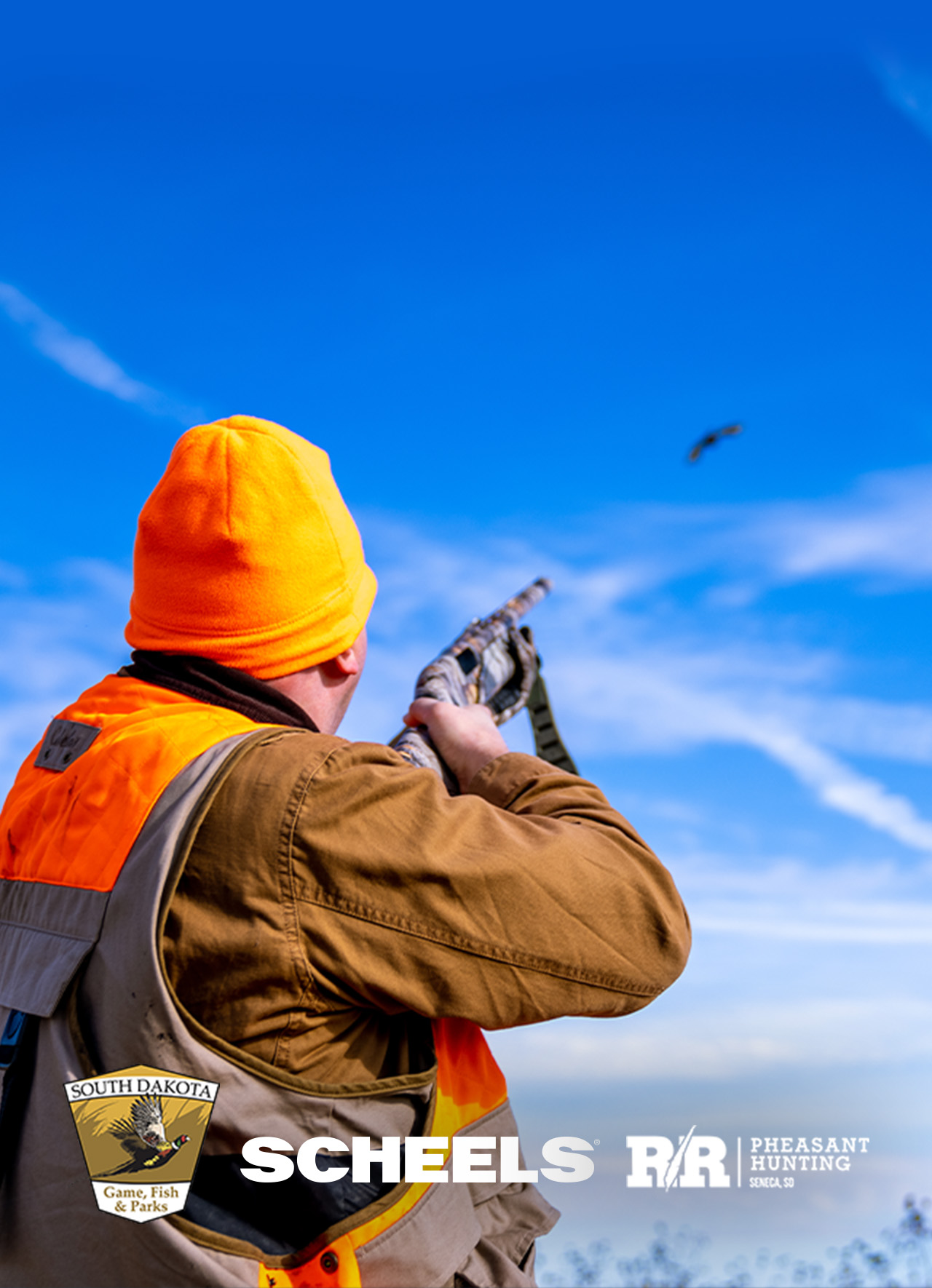 A man with his dog in a field aims his shotgun at a pheasant. Logos for South Dakota Game, Fish & Parks, Scheels and RR Pheasant Hunting line the bottom of the image.