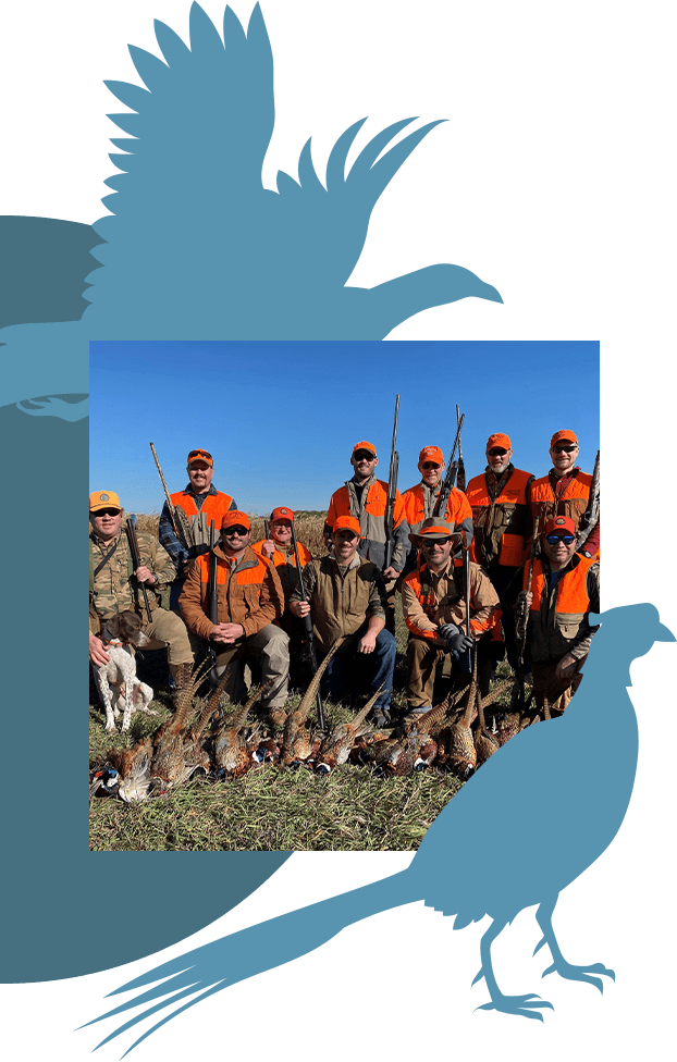 A photo of a group of men lined up with the pheasant they hunted in front of them in the grass.
