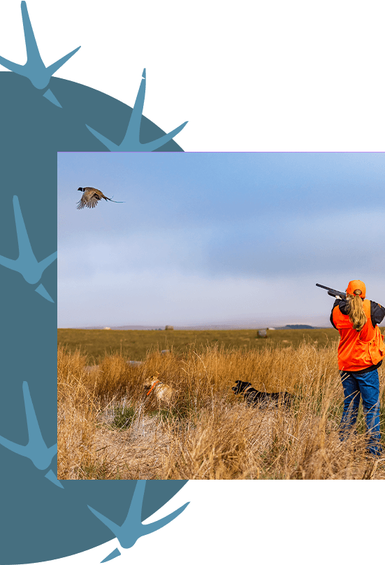 A photo of a woman shooting at a pheasant.