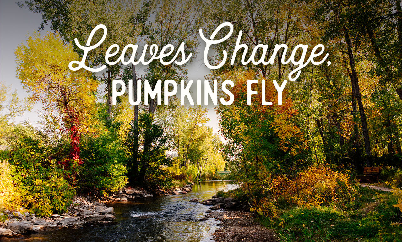 Leaves Change, Pumpkins Fly