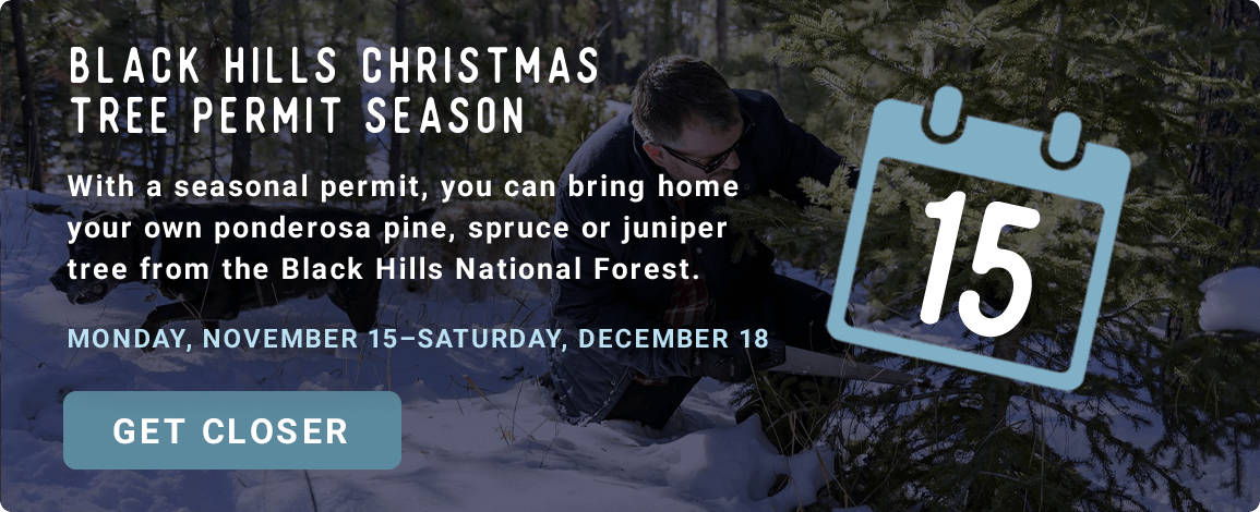 Black Hills Christmas Tree Permit Season - November 15 - December 18