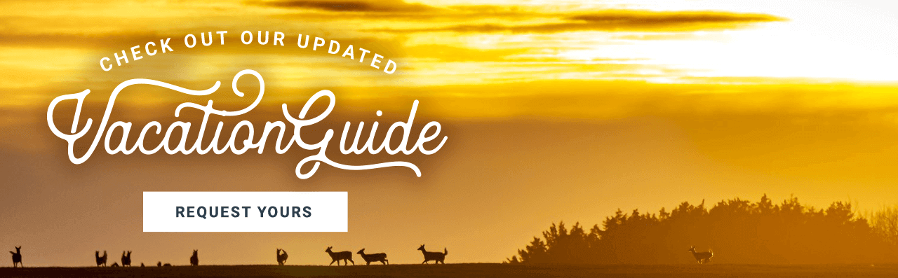 Check Out Our Updated Vacation Guide