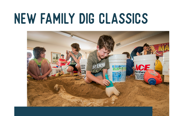 New Family Dig Classes