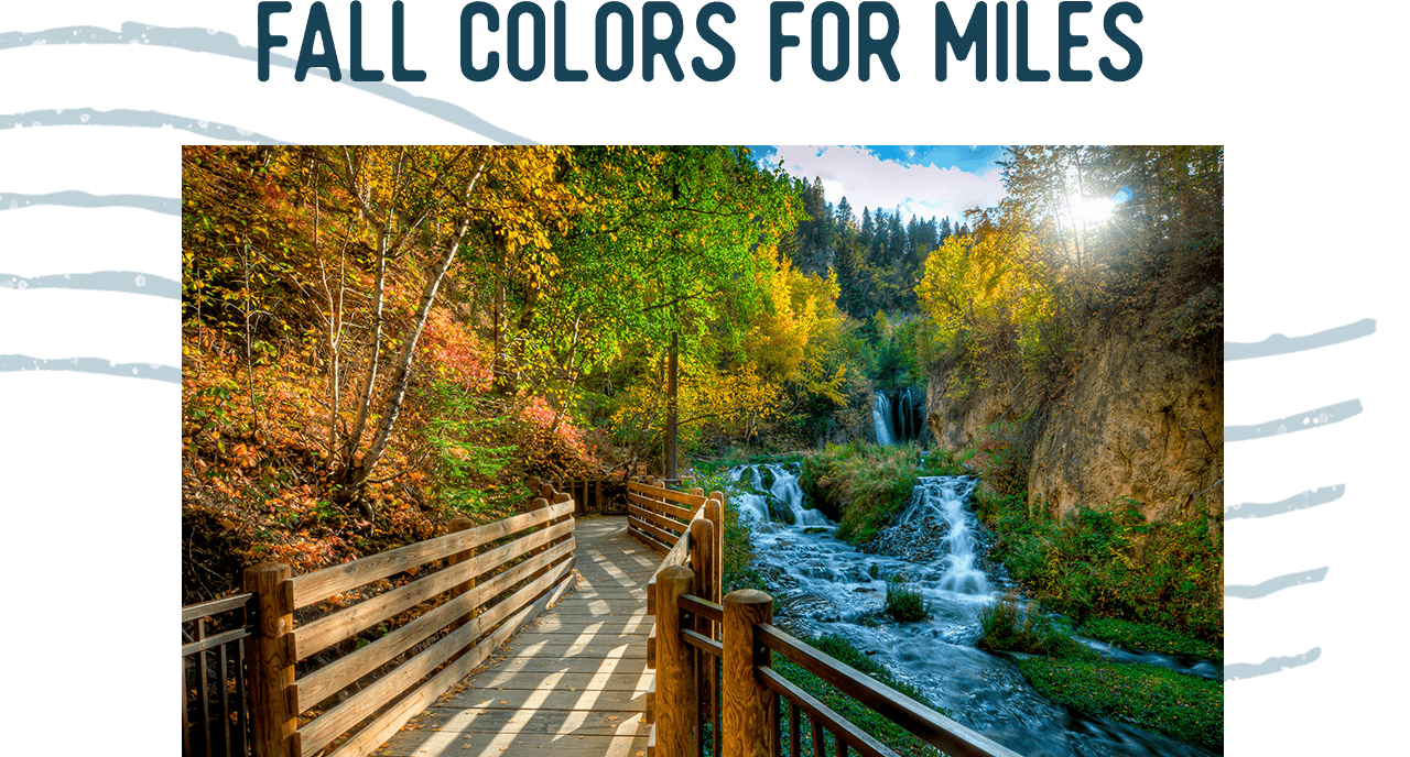 Fall Colors For Miles - Learn More